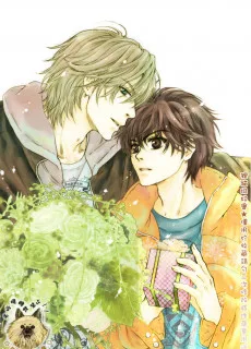 Super lovers