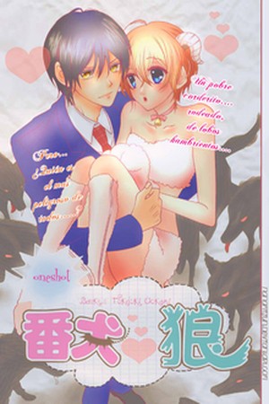 Banken Tokdoki Ookami (2016) | LectorTMOo
