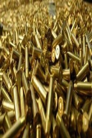 Because everything you solve with bullets? (2017) | LectorTMOo