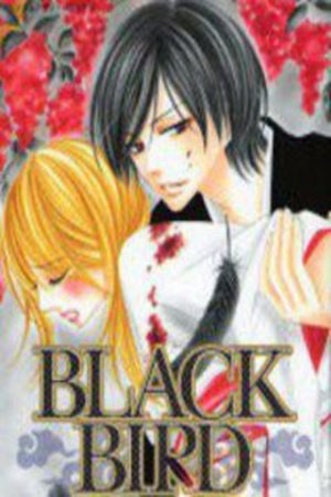 Black Bird (2007)