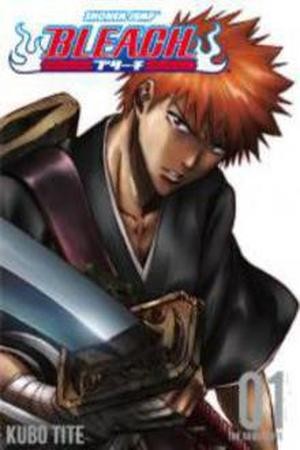 Bleach (Català) (2001) | LectorTMOo