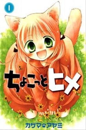 Chokotto Hime (2008) | LectorTMOo