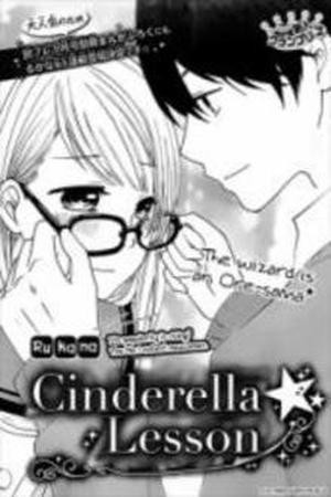 Cinderella Lesson (2013) | LectorTMOo