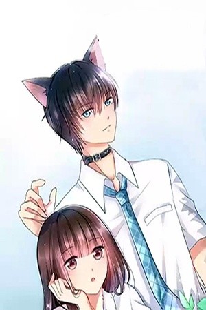 El popular compañero de escritorio es un gato (2020)