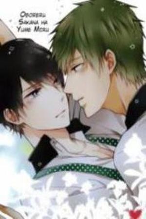 Free! ~ Oboreru Sakana ha Yume wo Miru (2016)