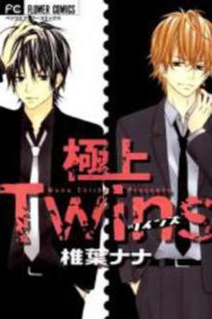 Gokujou Twins (2009) | LectorTMOo