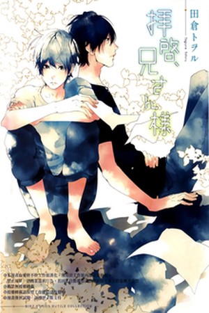 Haikei Niisan-sama (2010) | LectorTMOo