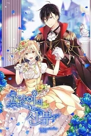 La Novia del Principe Gato (2019) | LectorTMOo