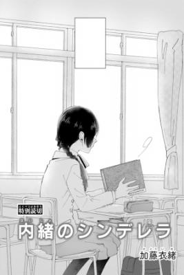 Naisho No Cinderella