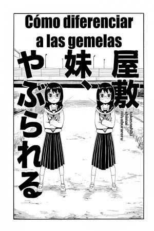 Cómo Diferenciar a las Gemelas (2014)