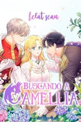 Finding Camellia