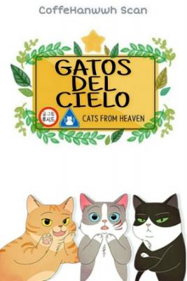 Gatos Del Cielo | LectorTMOo