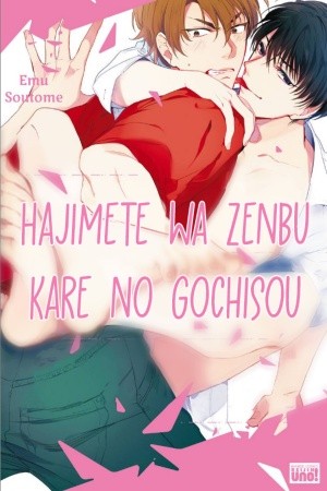 Hajimete wa Zenbu Kare no Gochisou (2016) | LectorTMOo