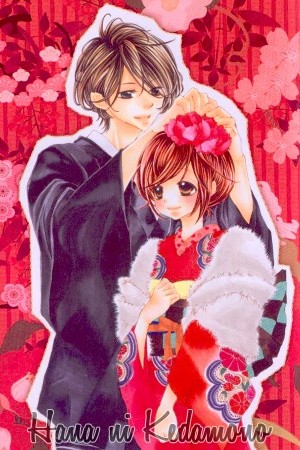 Hana ni Kedamono (2010) | LectorTMOo