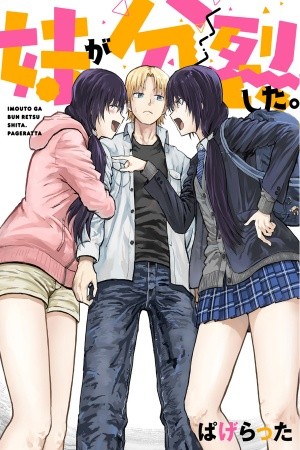 Imouto ga Bun retsu shita | LectorTMOo