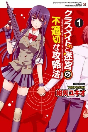 Improper Capture Method of Classmates & Labyrinth (2011)