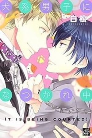 Inukei Danshi ni Natsukarechuu (2017) | LectorTMOo