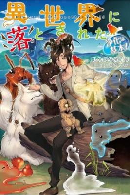 Isekai Ni Otosareta… Jouka Wa Kihon! (Novela)