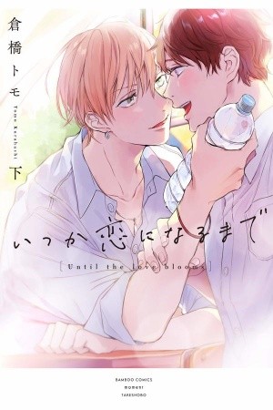 Itsuka Koi Ni Naru Made (2017)