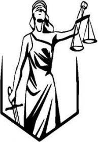 Justiciera Pública (Novela)