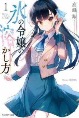 Kōri No Reijō No Tokashi Kata (Novela) | LectorTMOo