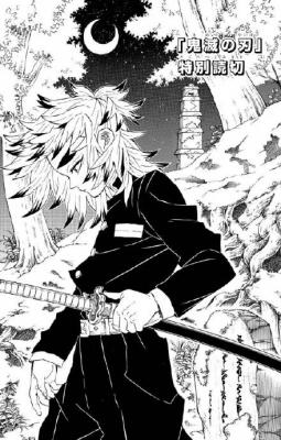 Kimetsu No Yaiba: Shiawase No Hana (Novela) | LectorTMOo