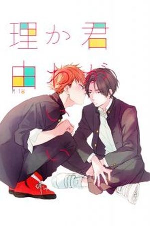 Kimi ga Kawaii Riyuu (2016) | LectorTMOo