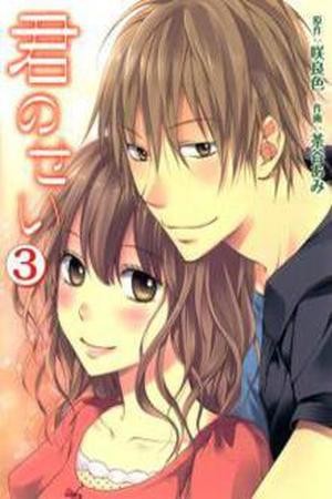 Kimi no Sei (2009) | LectorTMOo