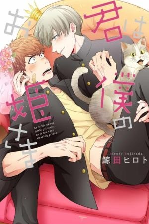 Kimi wa Boku no Ohimesama (2017) | LectorTMOo