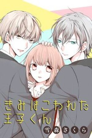 Kimi wa Kowareta Ouji-kun (2017) | LectorTMOo