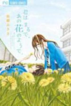 Kimi wa Maru de, Ano Hana no you de (2016) | LectorTMOo