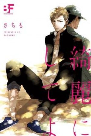 Kirei ni shiteyo (2016) | LectorTMOo