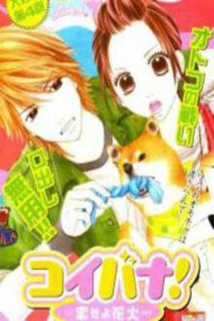 Koibana! Koiseyo Hanabi (2007)