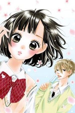 Koisuru Lazy (2017) | LectorTMOo
