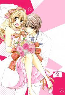 Konyaku 0-Nichi Kon Wa Dou Desu Ka?