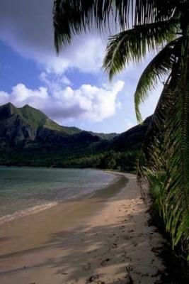 La Isla Misteriosa (Novela)