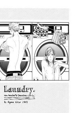 Laundry (2017) | LectorTMOo