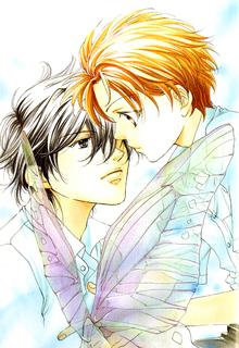 Little Butterfly | LectorTMOo