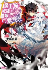 Maou No Ore Ga Dorei Elf Wo Yome Ni Shitanda Ga, Dou Medereba Ii? (Novela) | LectorTMOo