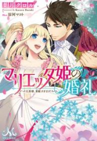 Marietta-hime No Konrei (Novela) | LectorTMOo