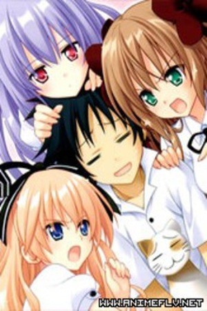 Mayoi Neko Overrun! (2010)