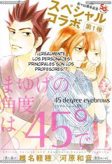 Mayuge No Kakudo Wa 45° De | LectorTMOo