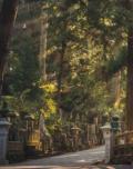 Memoirs Of A Traveller (Novela) | LectorTMOo
