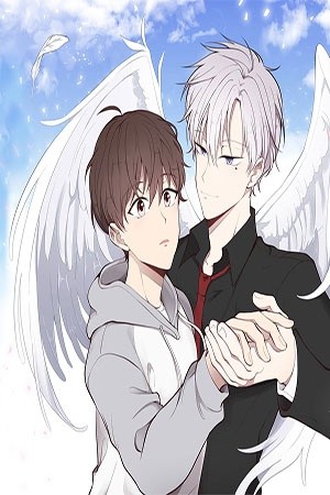 Mi contrato con un ángel (2019) | LectorTMOo