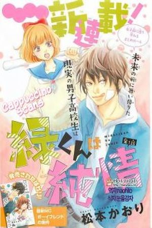 Midori-kun wa Junjou (2015) | LectorTMOo