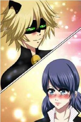 Miraculous Ladybug (Novela) | LectorTMOo