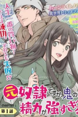 Moto Dorei Desuga, Oni No Dorei Wo Katte Mitara Seiryoku Ga Tsuyosugiru Node Sutetai…