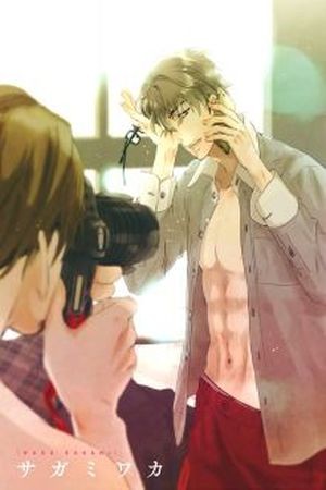 Mr. Gravure (2017) | LectorTMOo
