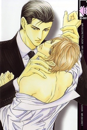 Mr.secret Floor~Ecos de un sagaz novelista~ (2010) | LectorTMOo