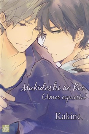 Mukidashi no Koi (2013)